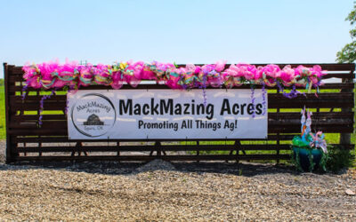 Easter MackMazing Acres 2025: A Week of Egg-citing Events