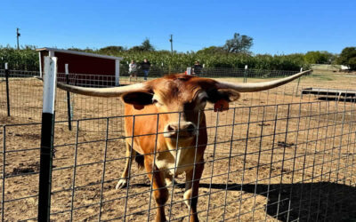 Day of Learning, Laughter & Farm Fun!